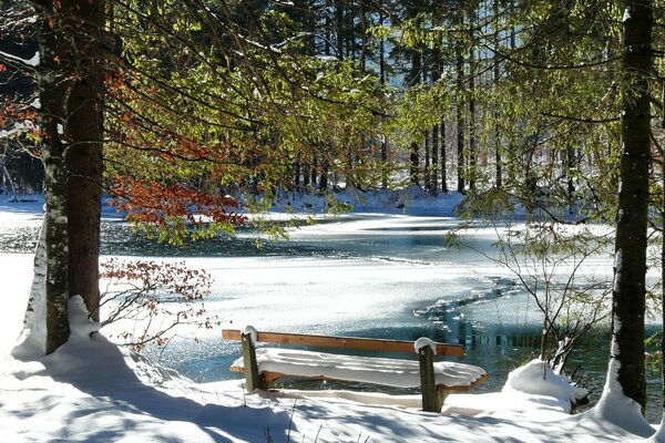 Romantische Bank am Ufer des Wintersees