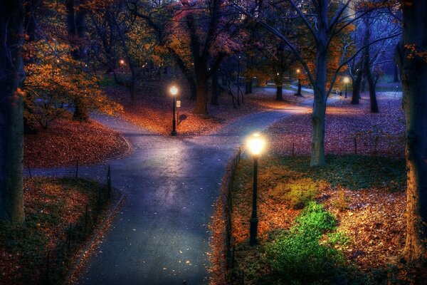 Die Straßen im Herbstpark werden in der Abenddämmerung durch zahlreiche Laternenmasten beleuchtet