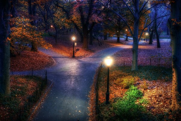 Les routes du parc d automne au crépuscule sont éclairées par de nombreux lampadaires