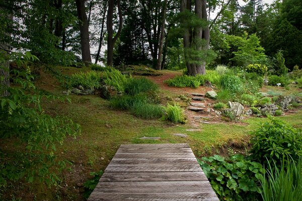 Passerelle dans le jardin Botanique