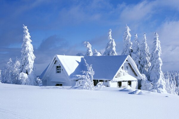 Дом под снегом среди заснеженных елей