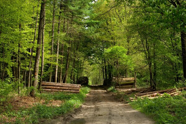 Le chemin de la maison est toujours bon