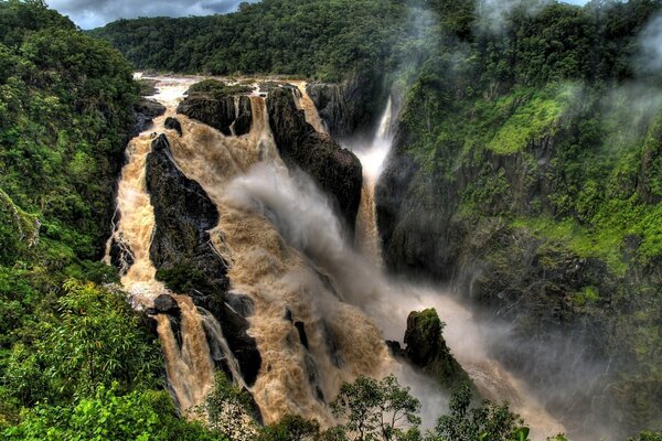 Cascata di latte tra un boschetto di nebbia