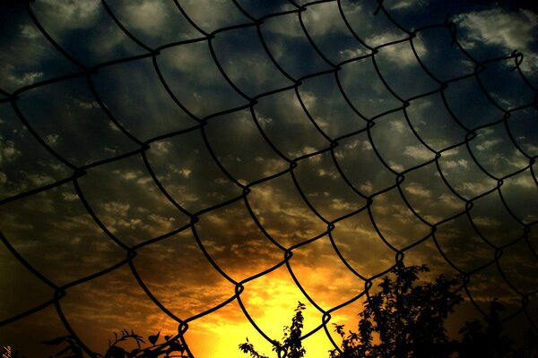 A colorful sunset can be seen behind the grid