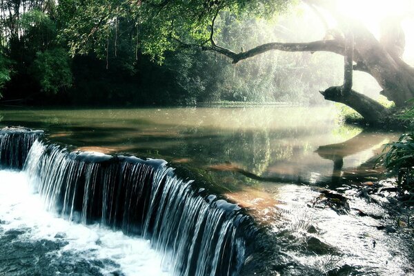 Waldfall im Licht