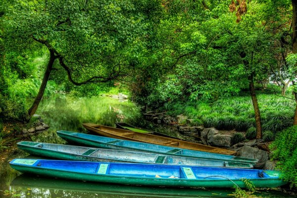 The forest river gently takes care of the boats