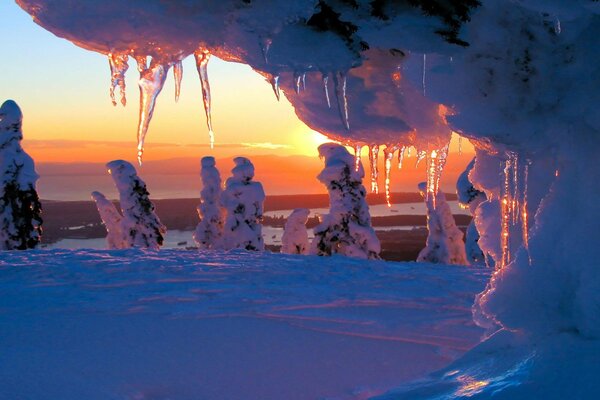 Eiszapfen auf Sonnenuntergang Hintergrund im Winterwald