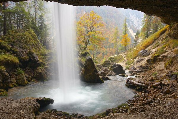 El flujo de la cascada de la montaña entre las piedras de un camino en el bosque