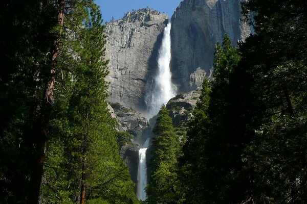 Paisaje con cascada alta y bosque