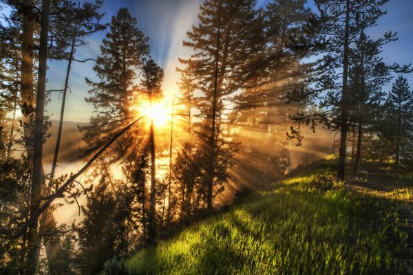 Sunrise in nature with rays of light