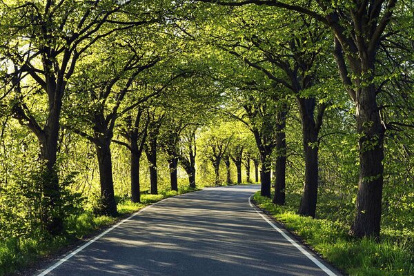 Wiosenny Park jest zawsze piękny