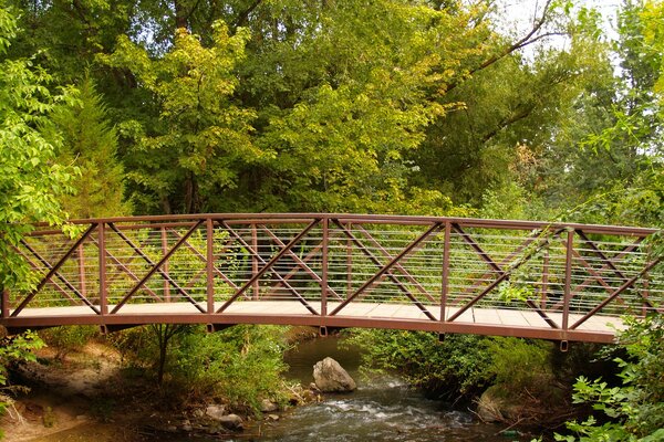 Ponte affidabile tra il verde