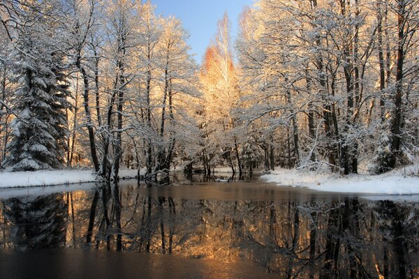 Winter river in the middle of the forest