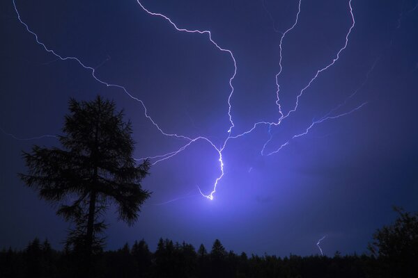 Relámpago nocturno en el cielo cerca de un árbol