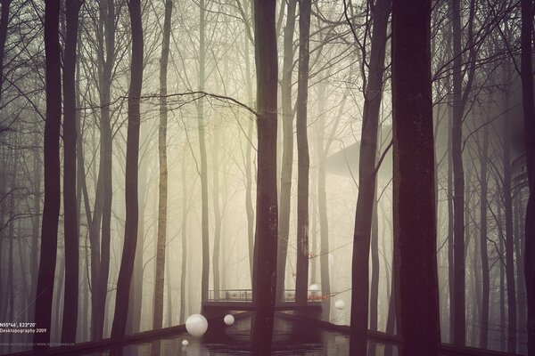 Nebel umhüllt Bäume und Brücke