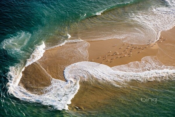 Морское кружево на песчаной косе