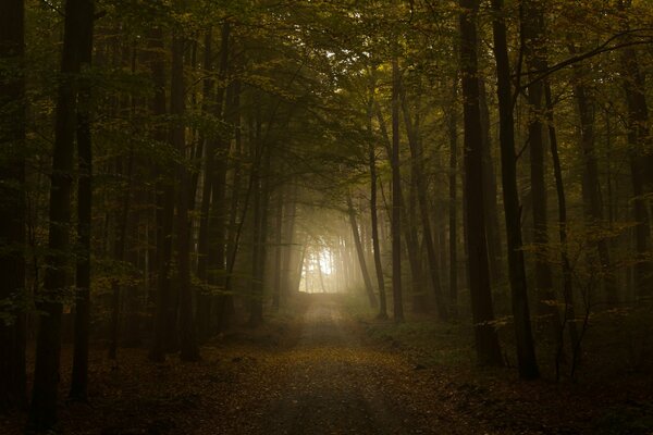 Am Ende des Tunnels erschien Licht