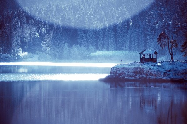 Lac d hiver en regardant la forêt gelée