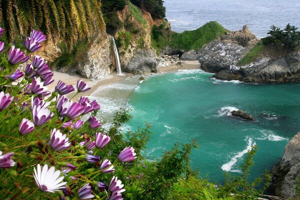 Rocks with blooming flowers on the background of the sea