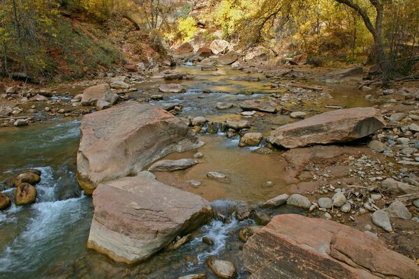 Río entre piedras y árboles