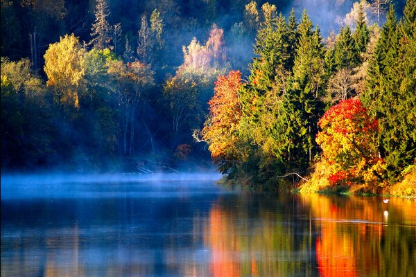 Herbstfarben der Bäume entlang des Sees