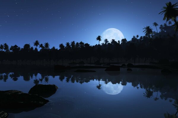 Reflection of the big moon in the water