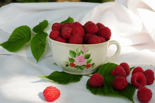 Raspberries in a white mug with leaves