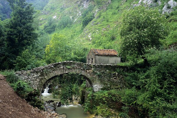 Maison dans un pays magique