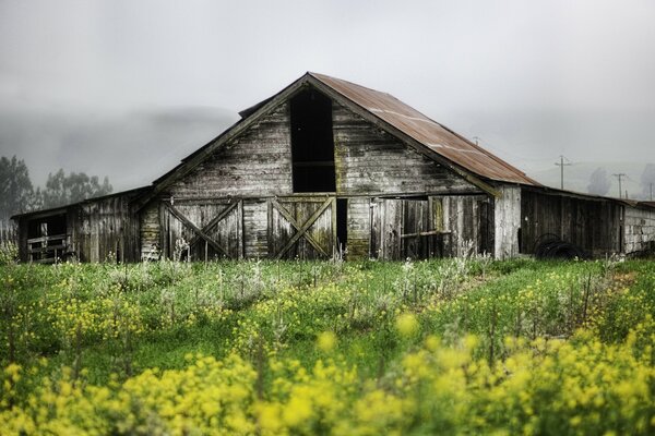 Edificio abandonado en el campo contra el cielo gris