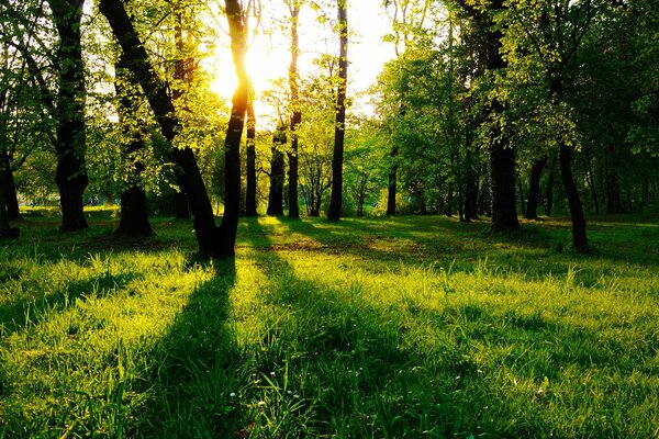 Giornata estiva soleggiata prima del tramonto