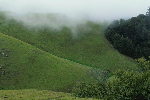 Zielone wzgórza spowite gęstą mgłą