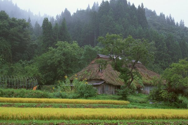 Japoński dom w lesie