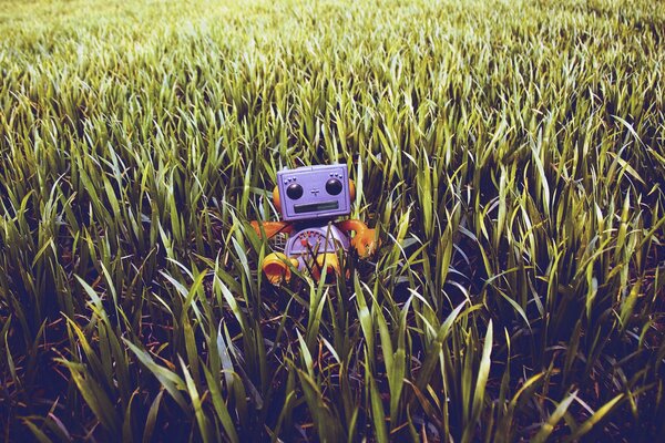 A toy robot sits on the field grass