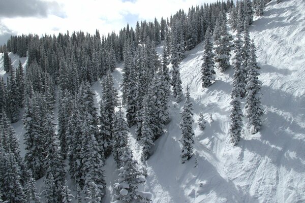 Hiver dans les montagnes. Beauté blanche comme neige