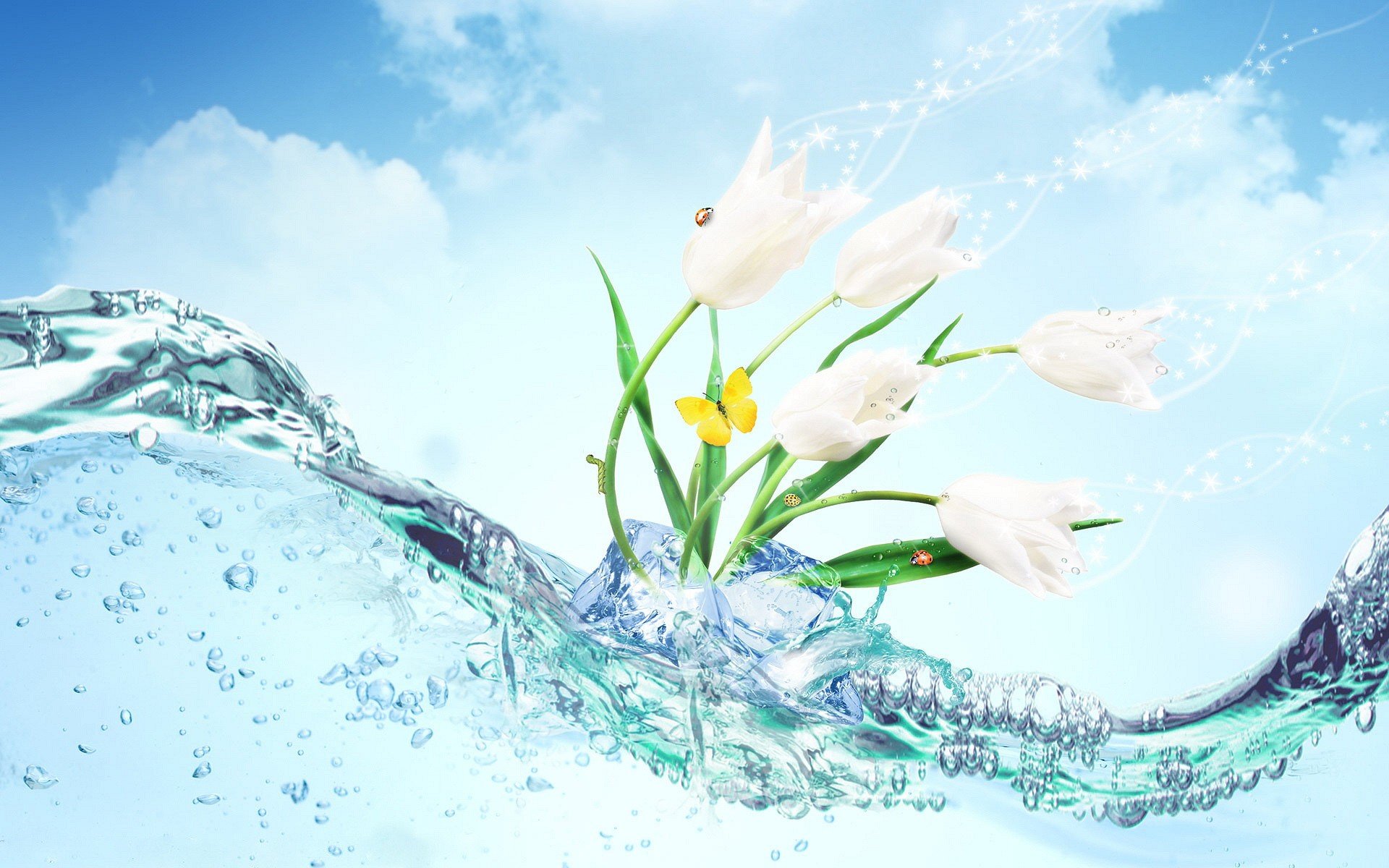 acqua ghiaccio fiori farfalla