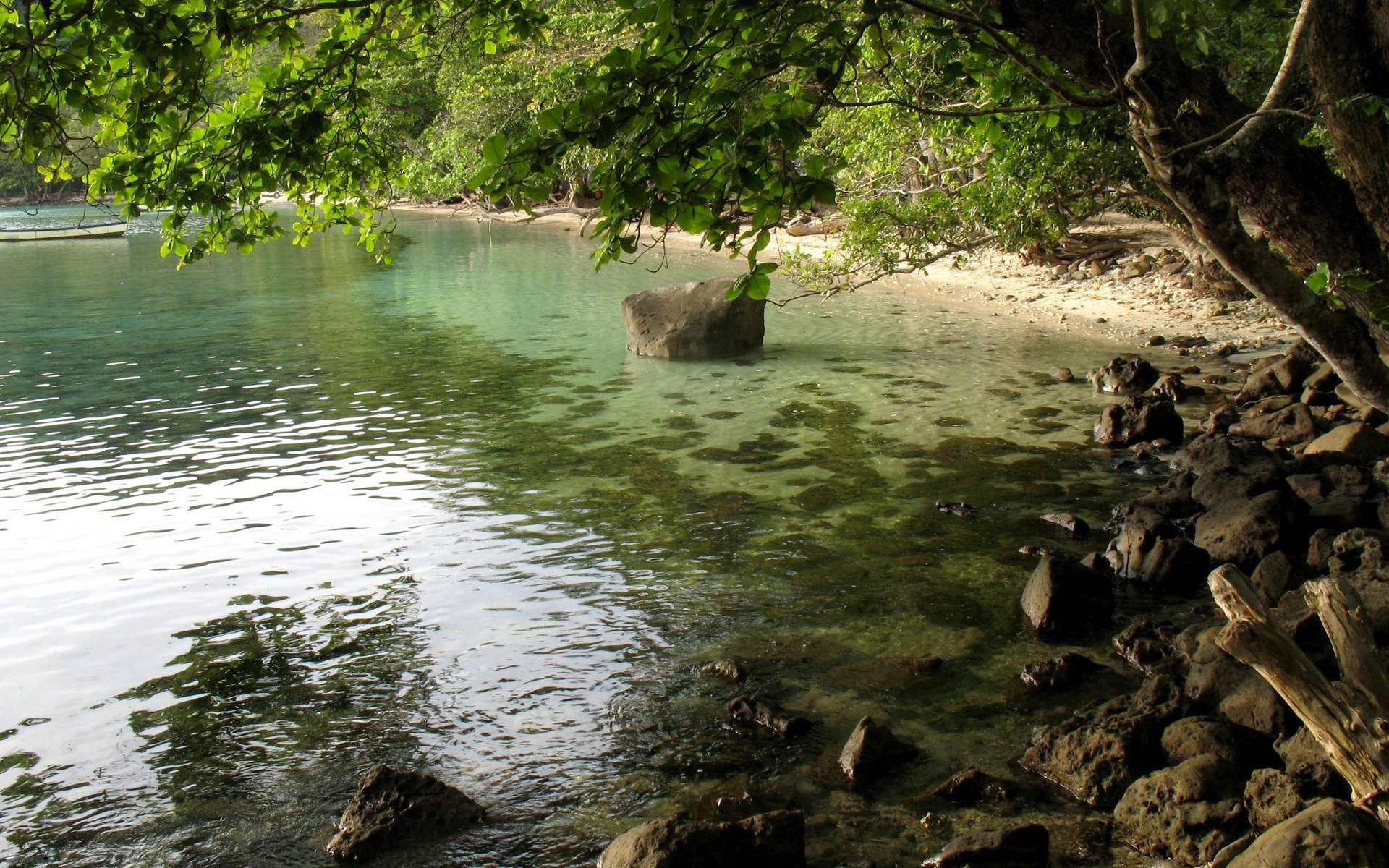 wasser steine baum laub schatten