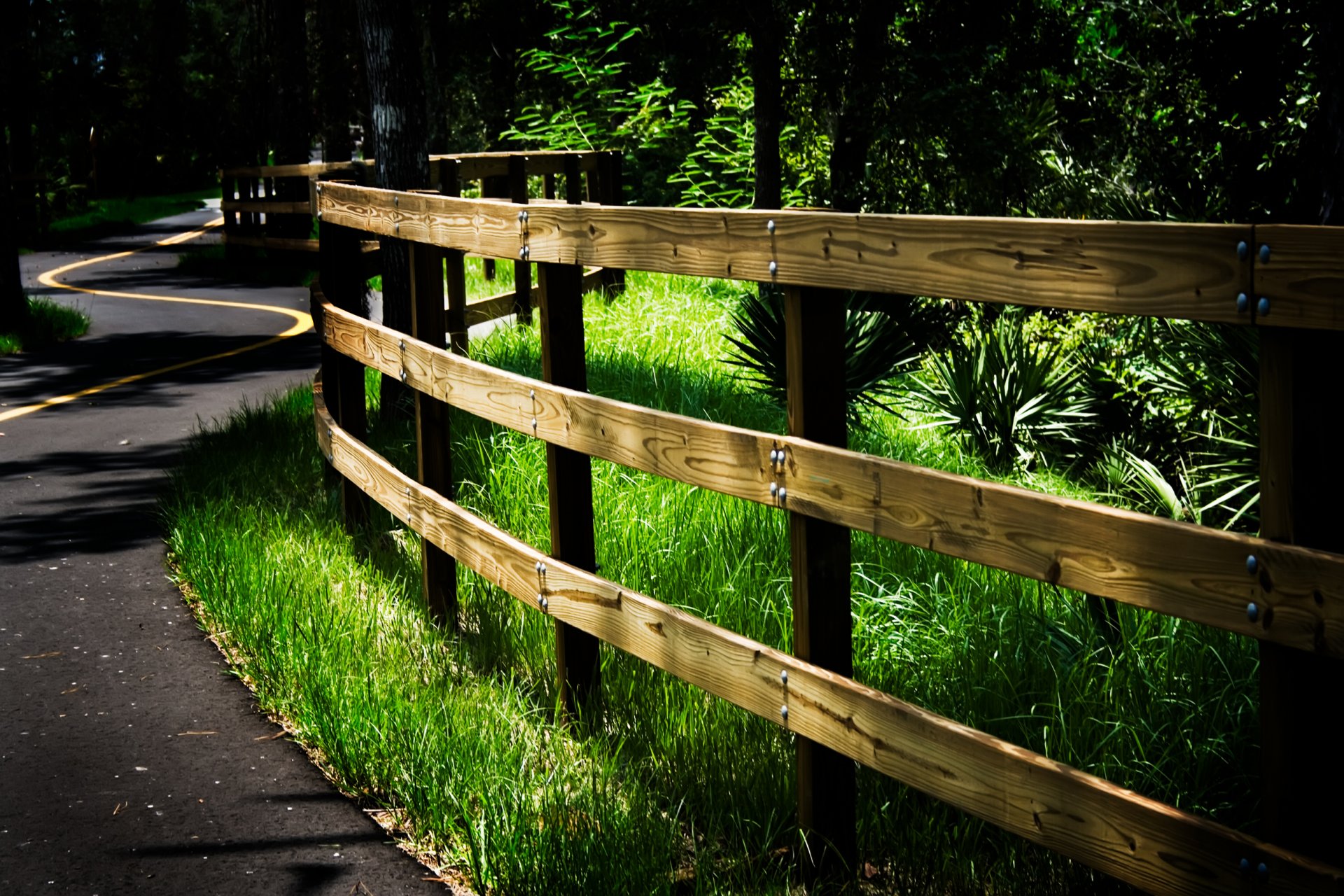 road forest fence