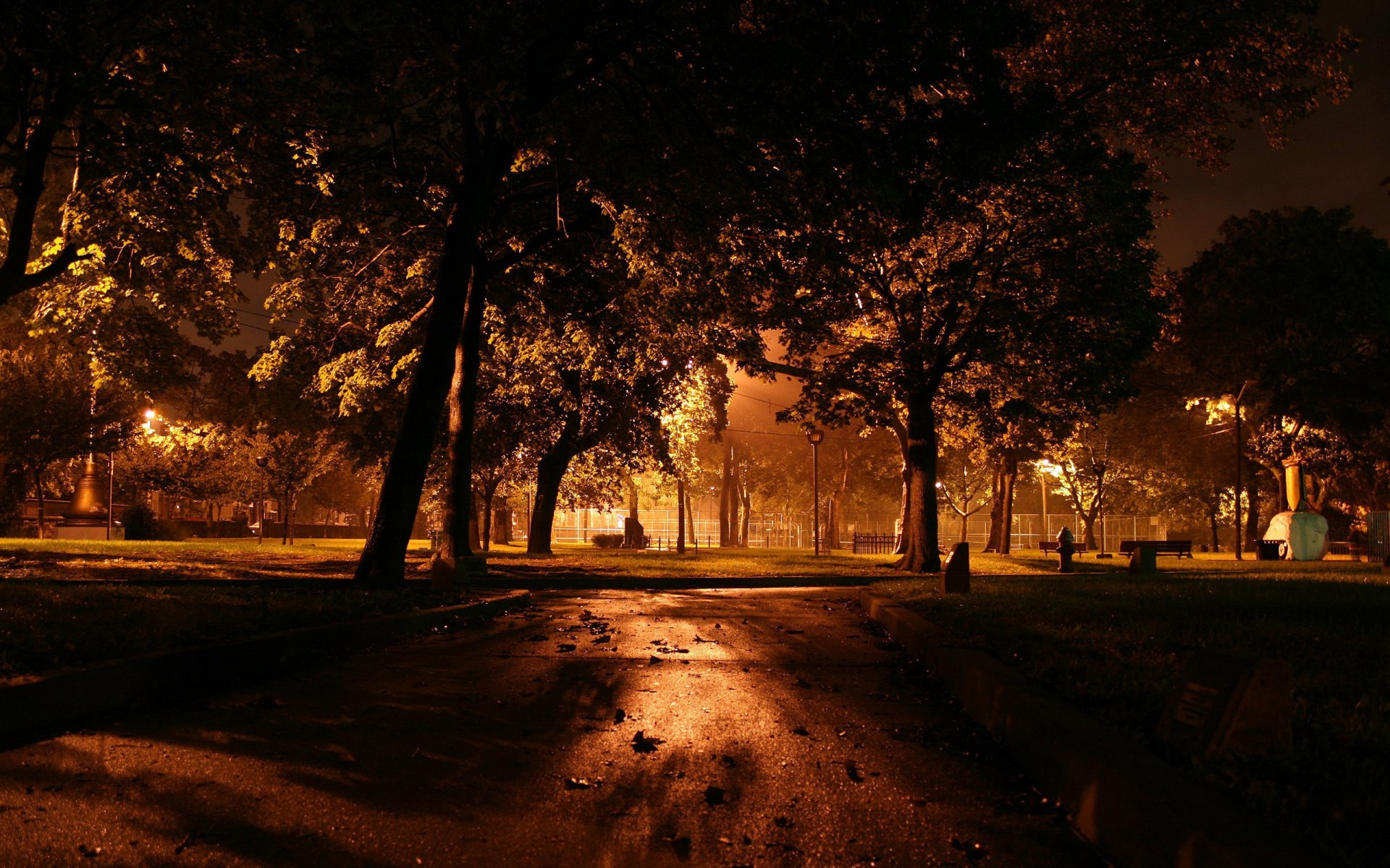 night tree lamp