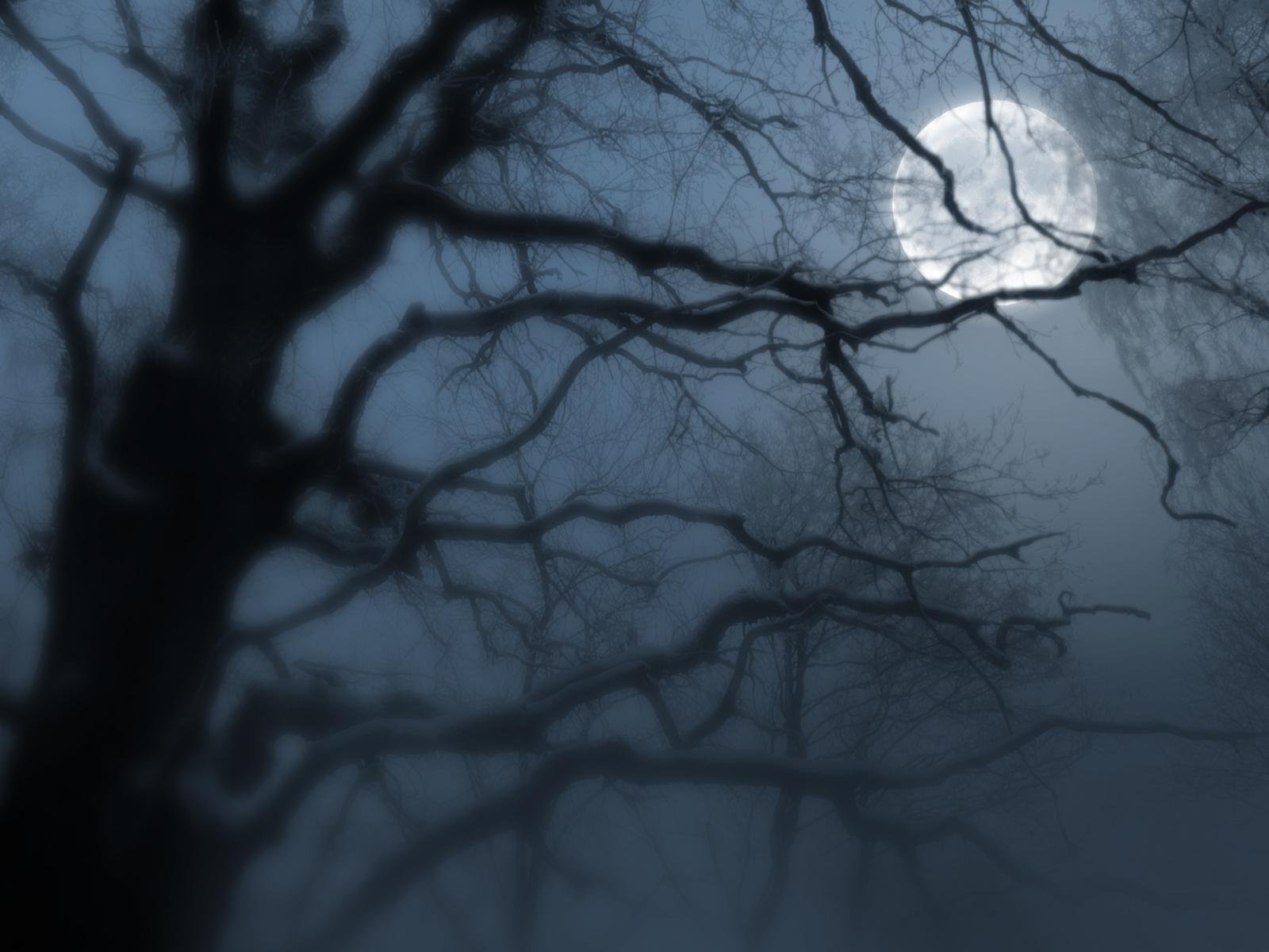 night moon fog