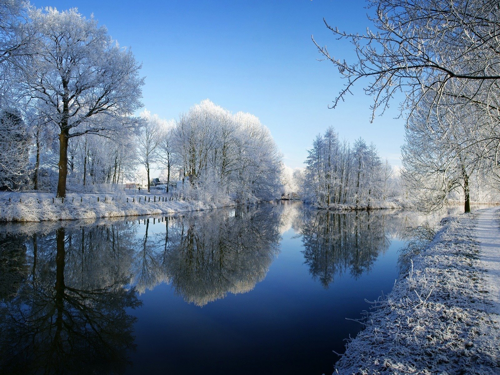 invierno río árboles escarcha nieve