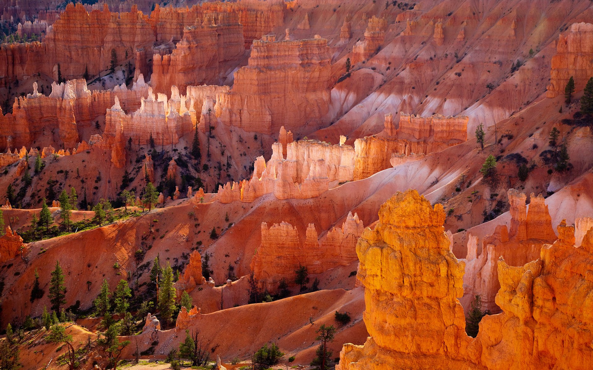 bryce canyon desierto naranja rocas