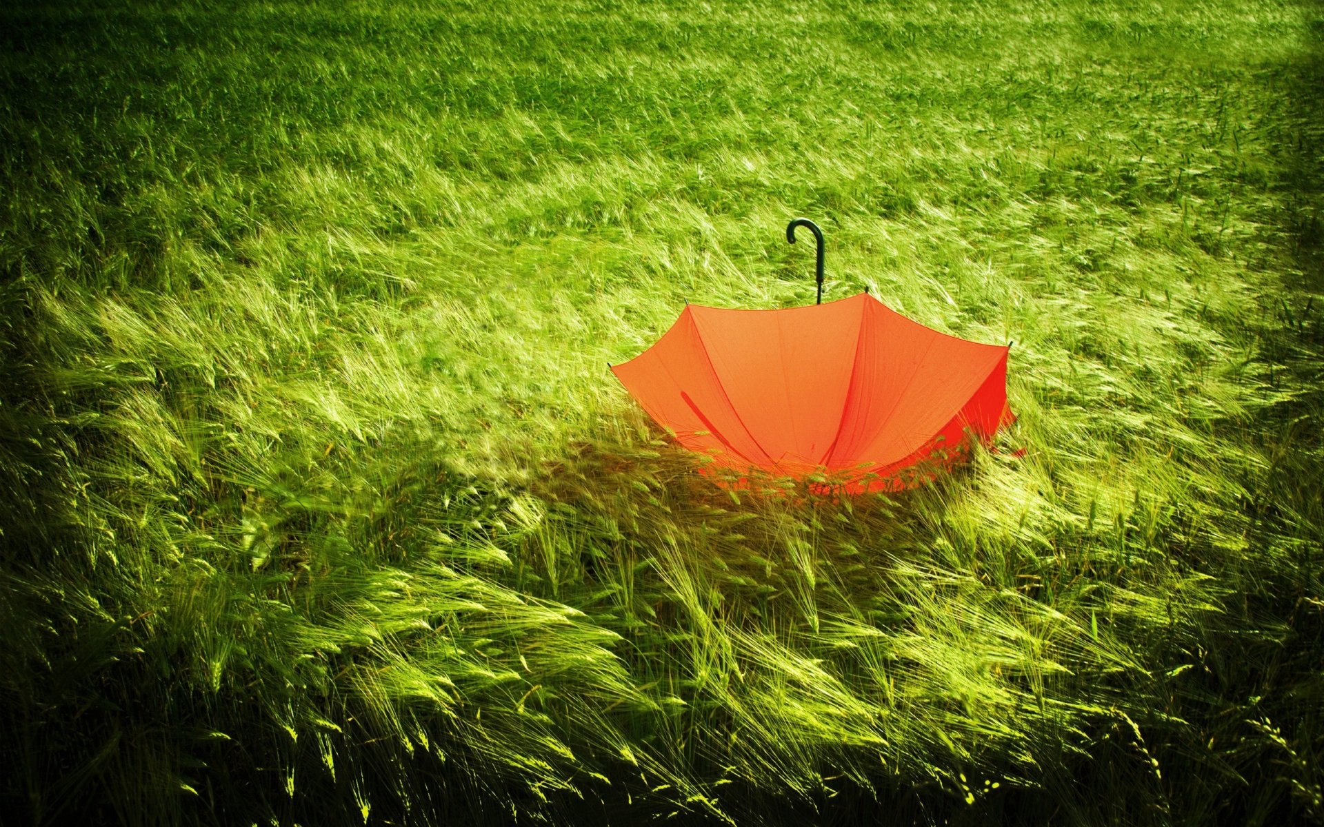 umbrella nature ears green