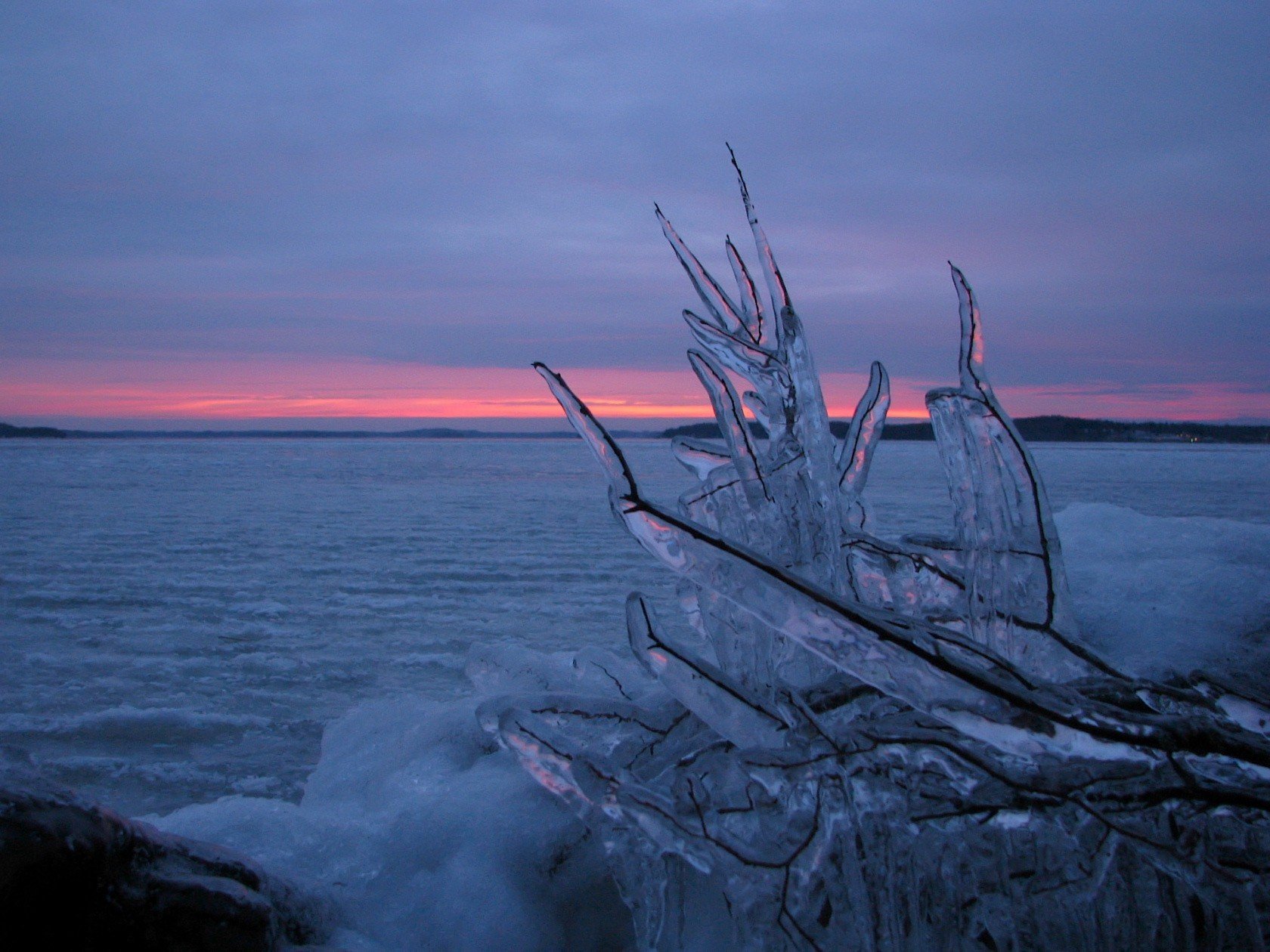 hielo invierno rama agua