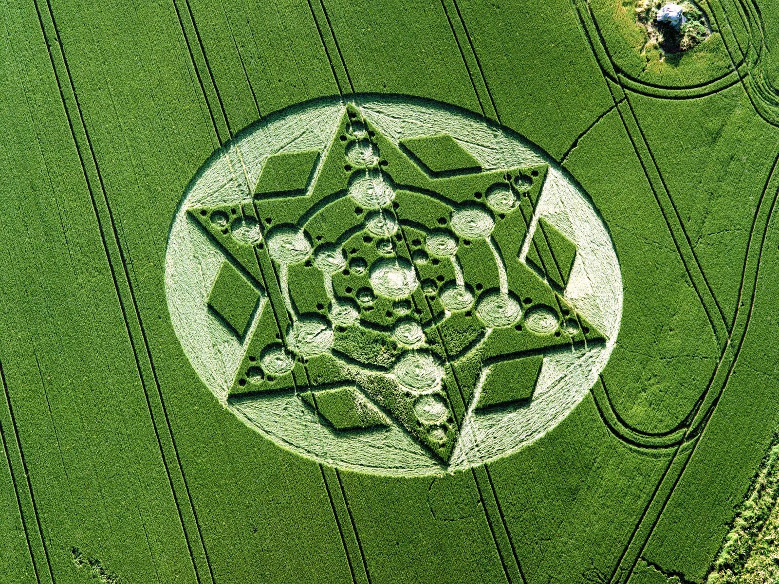 ufo pole kręgi zbożowe natura