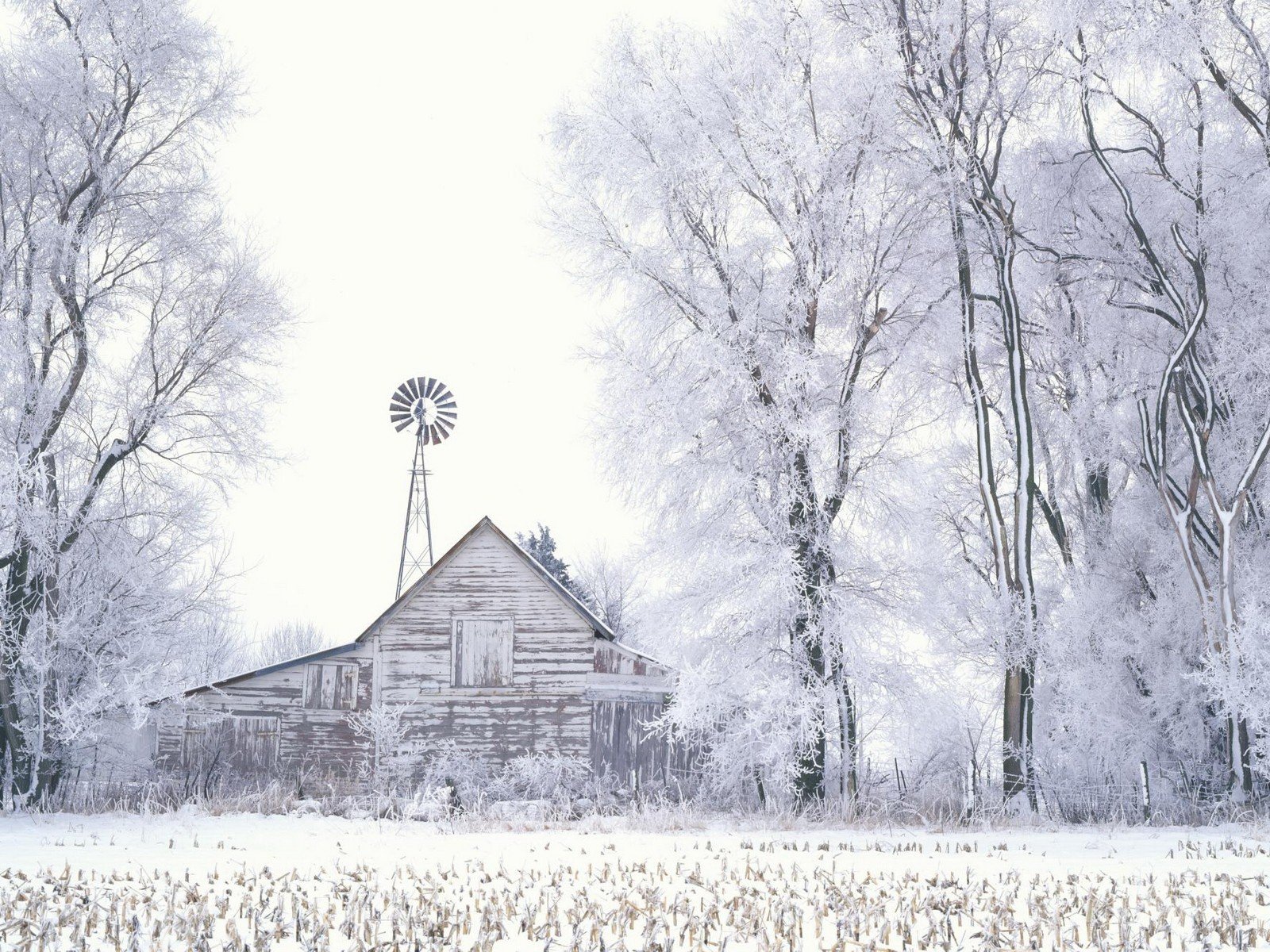 hiver neige arbres grange