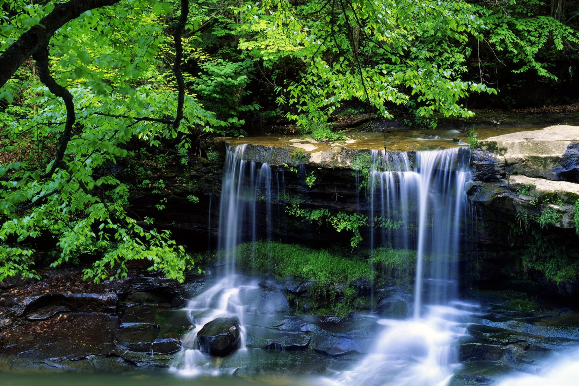 landscape waterfall summer beauty