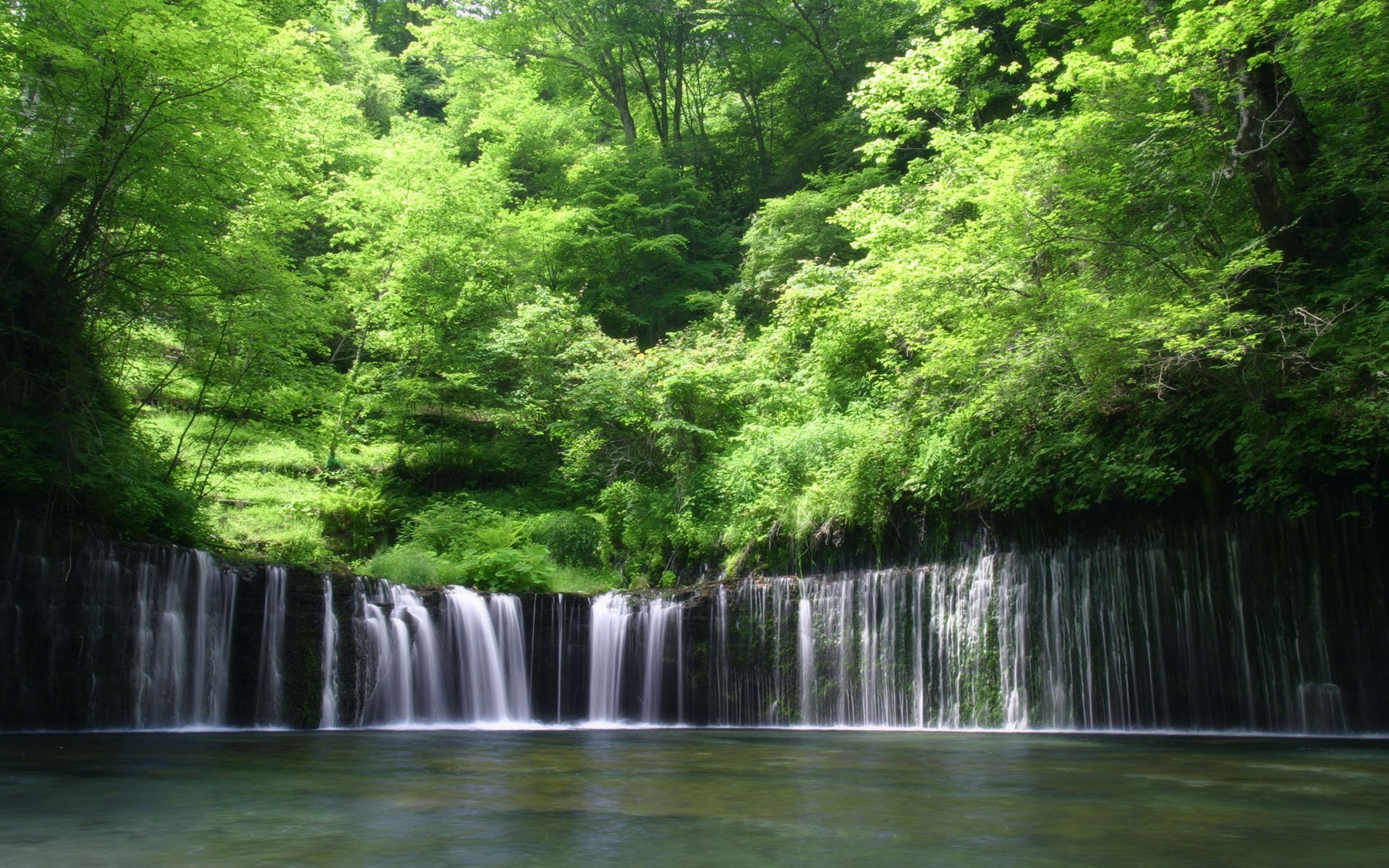 cascada agua bosque