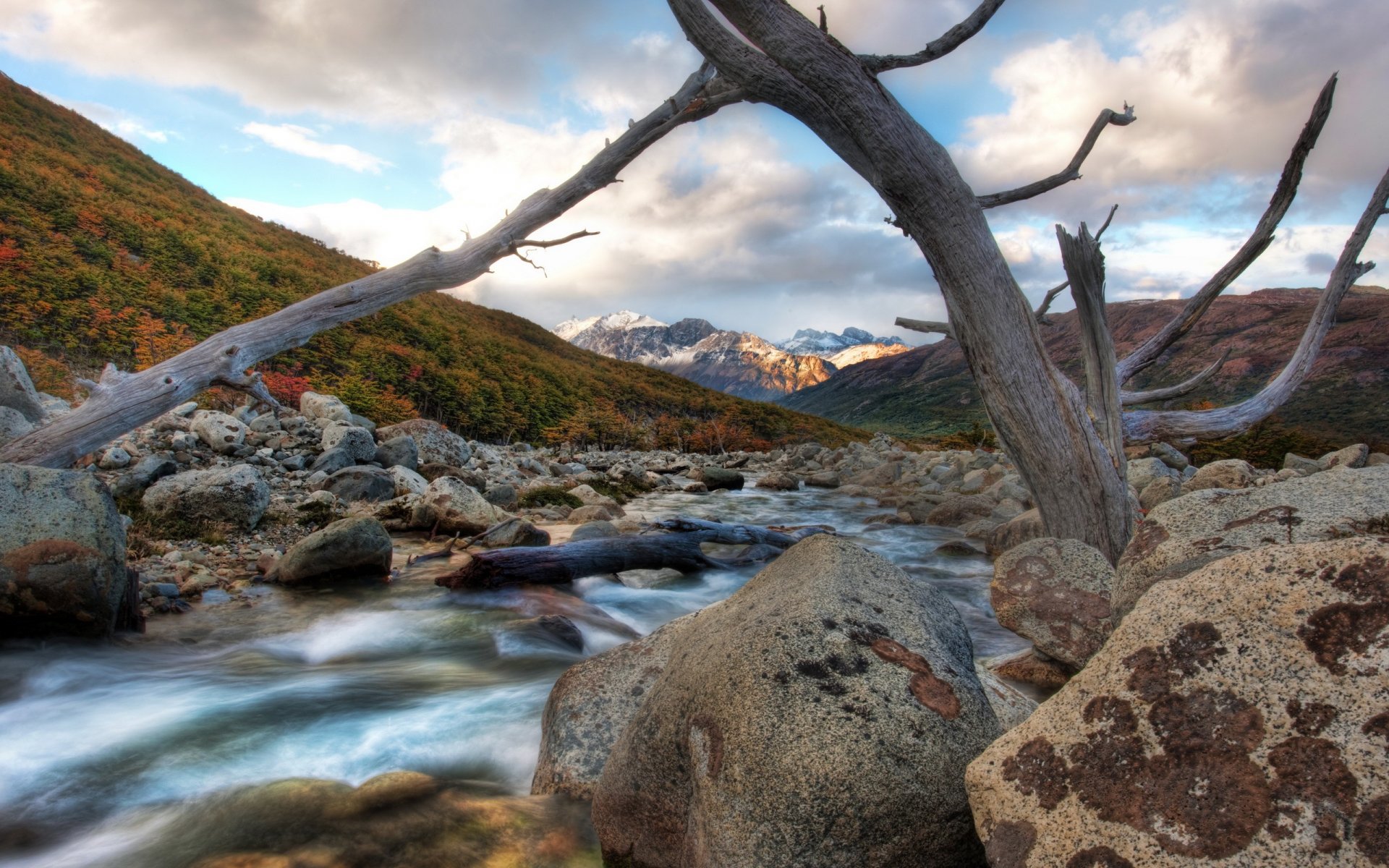 steine fluss zweig berge