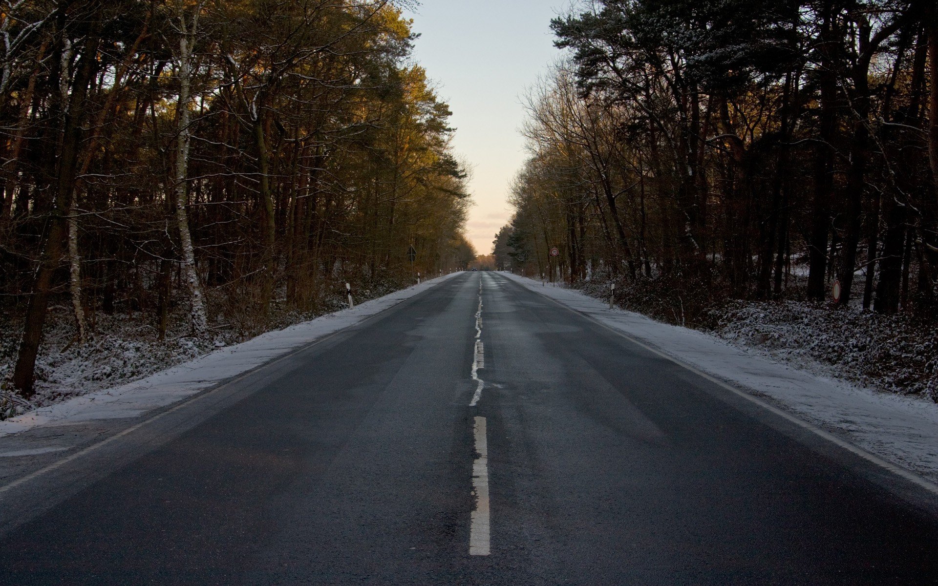 carretera marcado invierno bosque signo