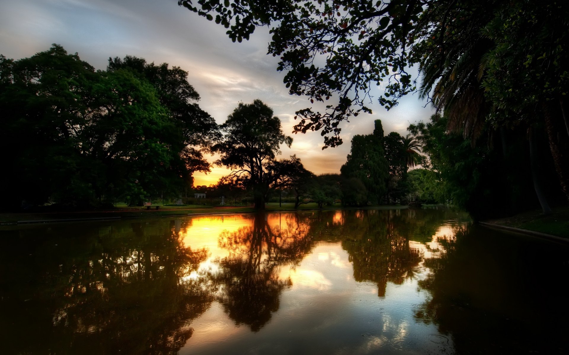 river tree reflection sunset